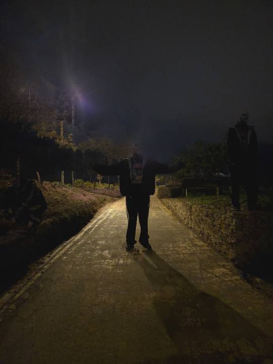 El camino de vuelta